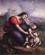 Cesare da Sesto, Madonna and Child with the Lamb of God